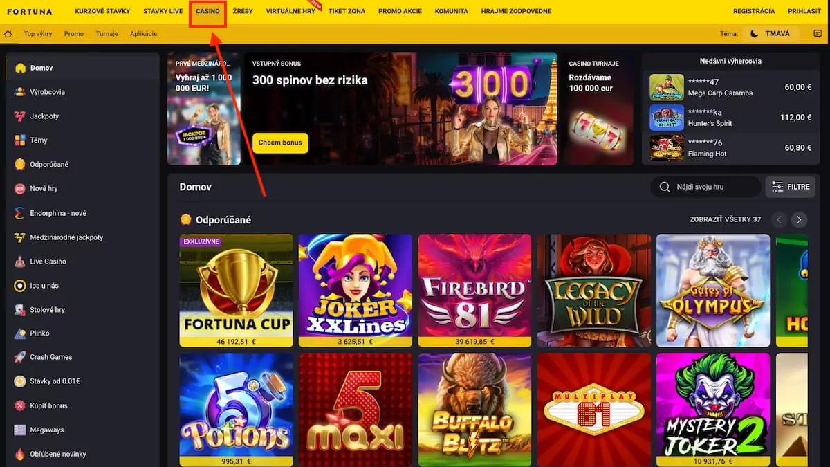 Fortuna Casino